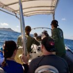 Turtle Canyon Snorkel: Semi Private Boat Tour - What Makes This Tour Stand Out?