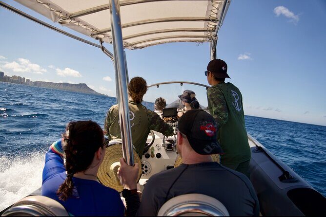 Turtle Canyon Snorkel: Semi Private Boat Tour - What Makes This Tour Stand Out?