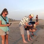 Turtle Release at Escobilla Beach - Practical Details: What to Expect