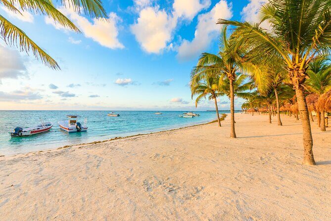 Turtle Swim, Lunch and Underground Cenote Private Tour - Overall Impressions and Who It’s Best For