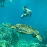 Turtle Town, Makena; Clear Bottom Kayak and Snorkel Tour - Is It Worth the Price?