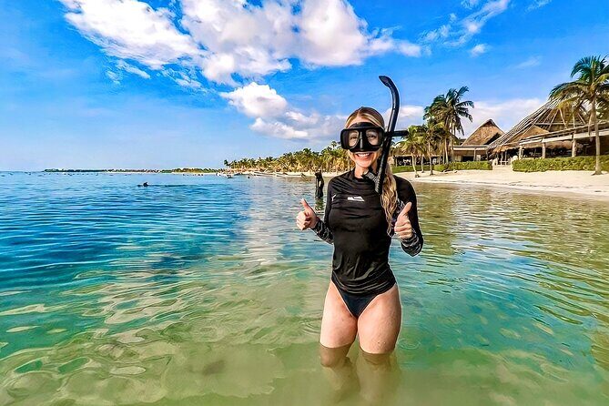 Turtles Encounter Akumal! Small group from Playa del Carmen - Who This Tour Best Suits