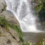 Turtles Release Adventure - Practical Details