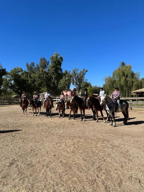 Tuscon: Rancho Cerros Horseback Riding Tout with Great Views - Who Will Love This Tour?