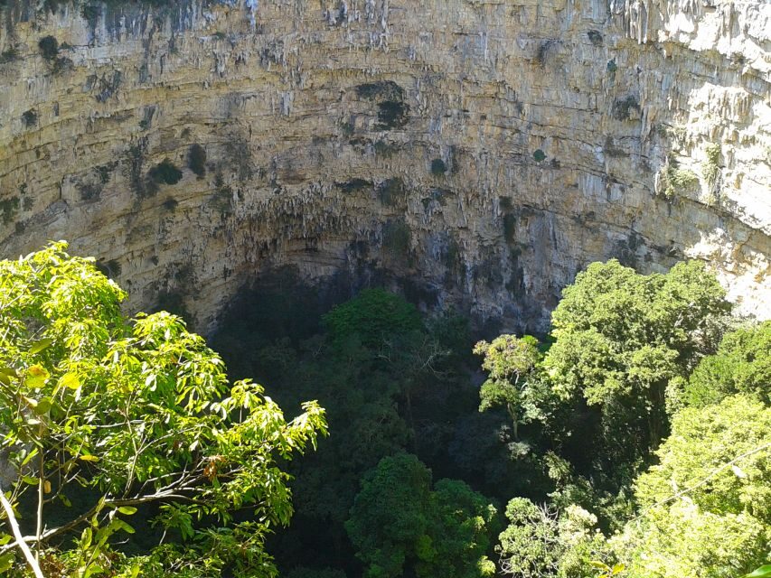 Tuxtla Gutiérrez: Sinkhole of Parrots Full-Day Rappel - What the Reviews Say