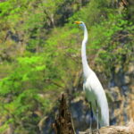 Tuxtla: Sumidero Canyon, San Juan Chamula & Zinacantán Tour - What Does the Tour Include?