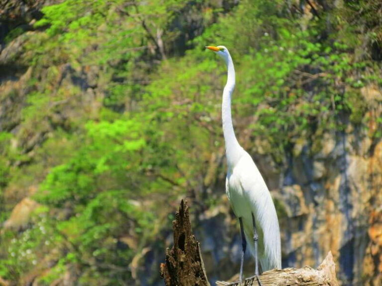 Tuxtla: Sumidero Canyon, San Juan Chamula & Zinacantán Tour - What Does the Tour Include?