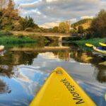 Twilight Glowworm Kayak Tour  Lake Karapiro - The Experience in Detail