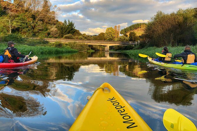 Twilight Glowworm Kayak Tour  Lake Karapiro - The Experience in Detail