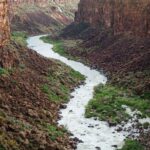 Twin Falls: Guided Half-Day Scenic Tour and Wine Tasting - Organic Wine Tasting at Holesinsky Vineyard