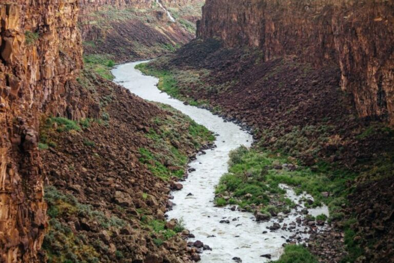 Twin Falls: Guided Half-Day Scenic Tour and Wine Tasting - Organic Wine Tasting at Holesinsky Vineyard