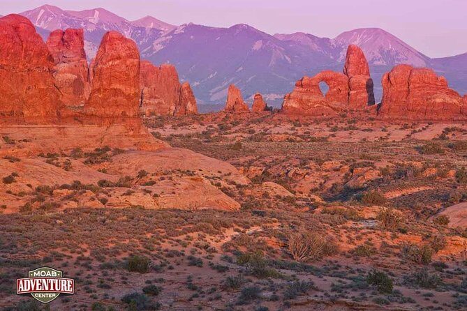 Two-Hour Hummer Safari - Final Thoughts: Is It Worth It?