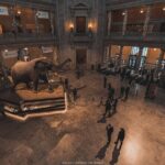 Two Smithsonian Museums Private Tour: American & Natural History - How the Tour Works