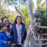 Ultimate Blue Mountains, Scenic World, Zoo & Lincoln's Rock Tour - What You Can Expect from the Tour