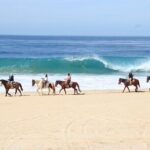 Ultimate Cabo Adventure UTV Horseback and Sky Bike Combo - What Travelers Are Saying (Based on Reviews)
