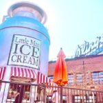 Ultimate Denver Day Out Bus Tour: Red Rocks, City Sites & Sweets - The Guide & Group Experience