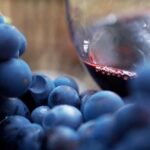 Ultimate Yarra Valley Chandon, Soumah & De Bortoli Cheese & Wine - Balancing the Positives and the Less Ideal