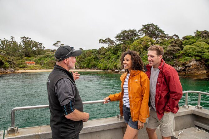 Ulva Island Explorer from Stewart Island - The Itinerary: Breaking It Down