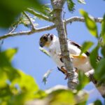 Uncharted Mayan Ruins - Whats Included & What’s Not