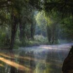 UNESCO Sites Discovery Tour in Mexico City - Potential Drawbacks and Considerations