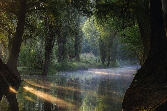 UNESCO Sites Discovery Tour in Mexico City - Potential Drawbacks and Considerations