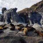 UNESCO World Heritage Site: 1 Day Coronado Island from Loreto Adventure - The Sum Up