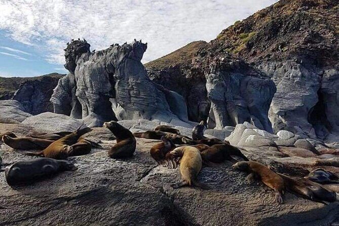 UNESCO World Heritage Site: 1 Day Coronado Island from Loreto Adventure - The Sum Up