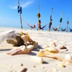 Unforgettable Tour Holbox 2 Islands & Cenote Yalahau from Cancún - The Real Traveler Experience