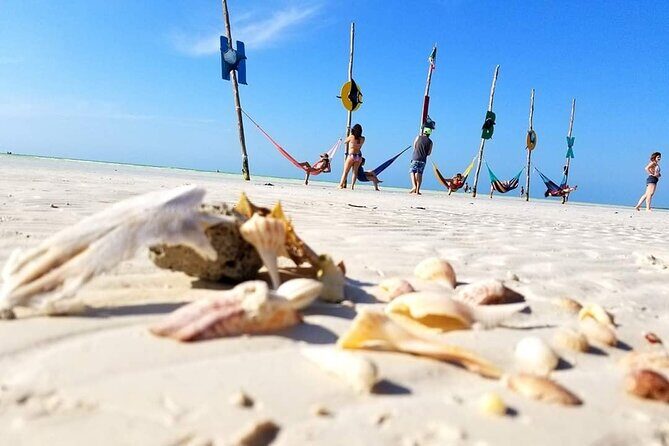 Unforgettable Tour Holbox 2 Islands & Cenote Yalahau from Cancún - The Real Traveler Experience