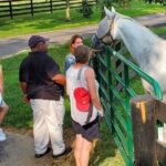 Unique Horse Farm Tours with Insider Access to Private Farms - Who Should Consider This Tour?