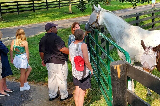 Unique Horse Farm Tours with Insider Access to Private Farms - Who Should Consider This Tour?