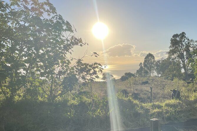 Upcountry Sunset Tour - In-Depth Look at the Itinerary