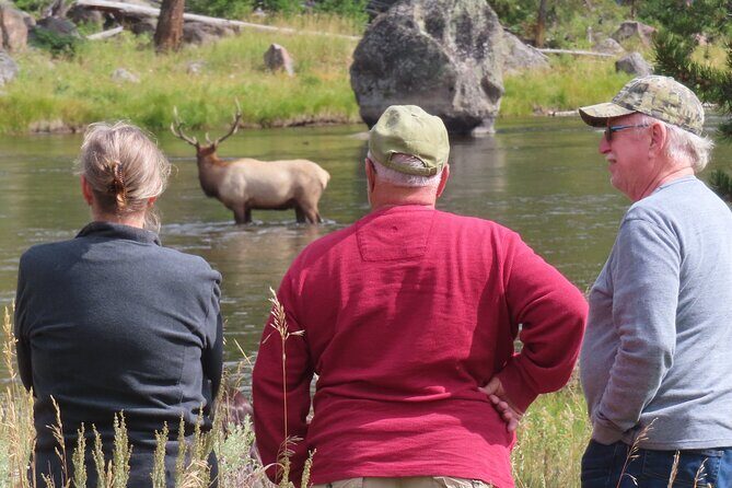 Upper Loop Tour and Lamar Valley from West Yellowstone with Lunch - What’s Included and What’s Not