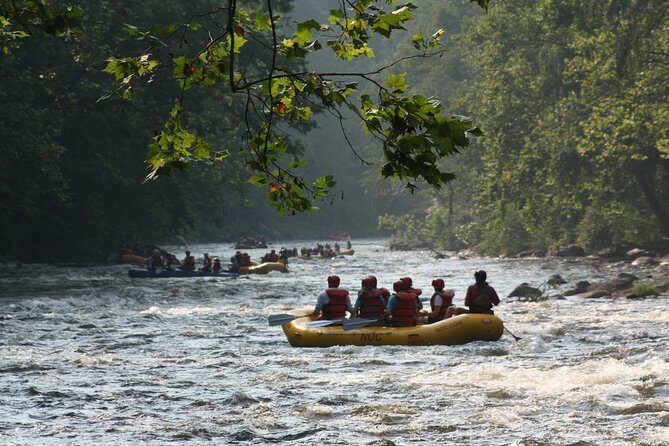 Upper Pigeon River Whitewater Rafting - Who Will Love This Tour?