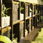 Uruapan Eco Tour with Breakfast - The Itinerary in Detail