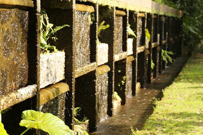 Uruapan Eco Tour with Breakfast - The Itinerary in Detail