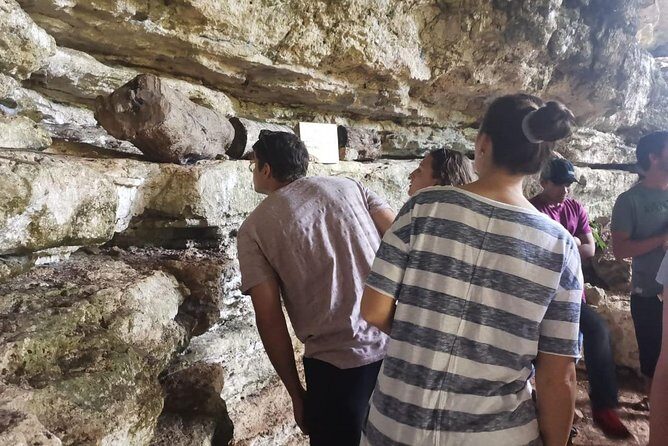 Valladolid Mayan Bees Tour with Lunch or breakfast and Honey Tasting - The Experience: Pros and Cons