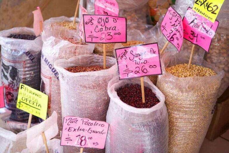 Vallarta: 3.5-Hour Pitillal Food Tour - Who Should Consider This Tour?