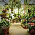 Vallarta Botanical Garden and Tequila Tasting from Puerto Vallarta - Final Thoughts