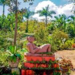 Vallarta Botanical Garden: Private Day Trip of Flora & Fauna - FAQ