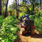 Valle de Bravo: ATV Tour - What Is the Valle de Bravo ATV Tour?