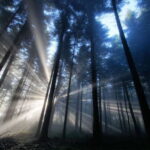 Valle de Bravo: Magical night at the forest - What’s Included & What’s Not