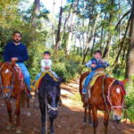 Valle de Bravo: Waterfall Riding Tour - Is This Tour Right for You?
