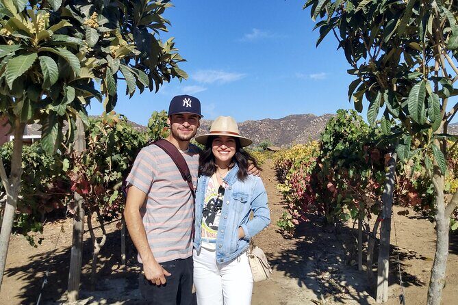 "Valle de Guadalupe", Live, Enjoy and Meet the Golden Valley - FAQs