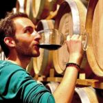 Valle de Guadalupe Premium Wine & Vineyard Wagon Tour - Final Thoughts: Who Should Consider This Tour?