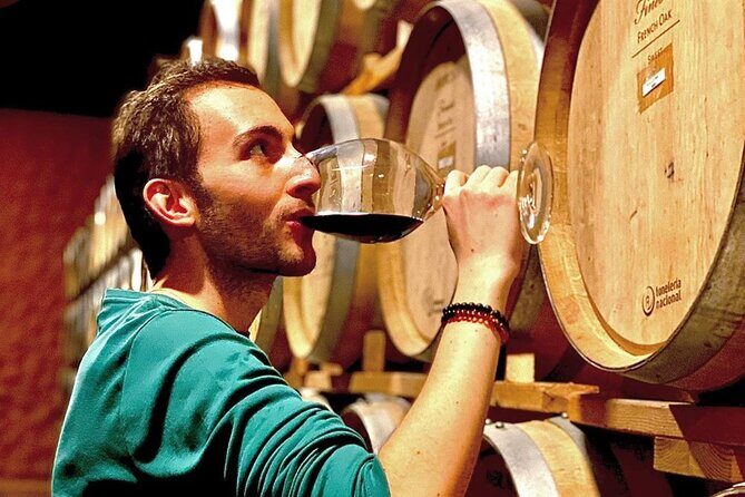 Valle de Guadalupe Premium Wine & Vineyard Wagon Tour - Final Thoughts: Who Should Consider This Tour?