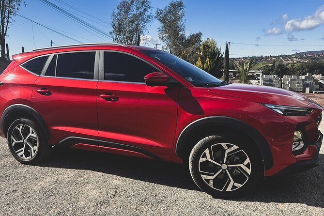 Valle de Guadalupe Private Transportation - Exploring the Valle de Guadalupe Private Transport Experience in Detail