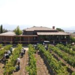 Valle de Guadalupe Tour: Wine Tastings Included - Wrapping Up