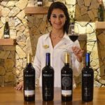 Valle de Guadalupe: Wine Tasting and Wagon Tour - What to Expect on the Tour