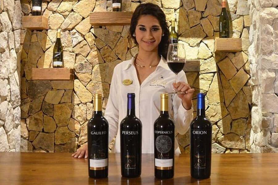 Valle de Guadalupe: Wine Tasting and Wagon Tour - What to Expect on the Tour